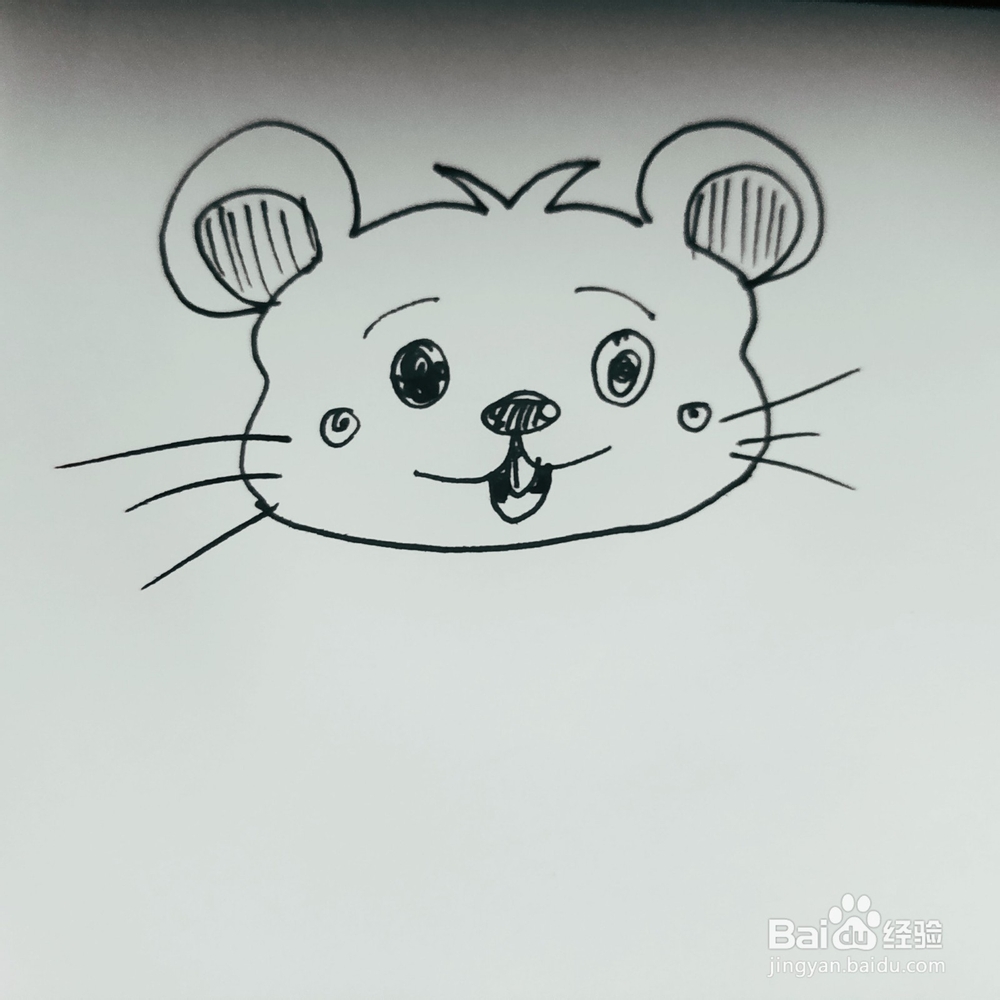 怎么来画一只肥胖的老鼠简笔画呢？