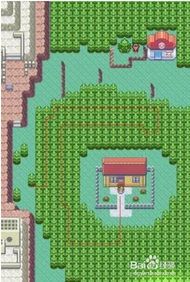 口袋妖怪蛇纹木攻略