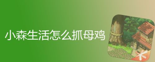 小森生活怎么抓母鸡