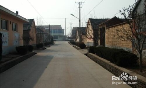 村干部应该怎样治理、发展农村