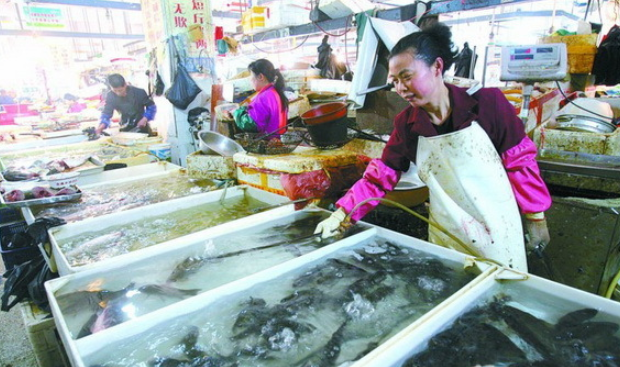 经营鲜活水产品可以在饲养水中添加硝基呋喃孔雀石绿吗