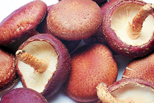 武夷山美食购物攻略