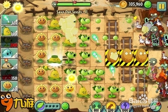 【图文】《植物大战僵尸2》狂野西部特殊关卡2