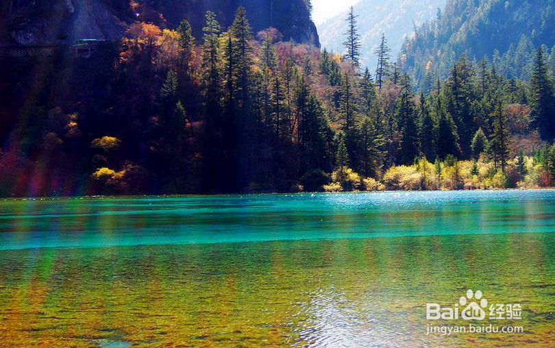 旅游前做好什么准备