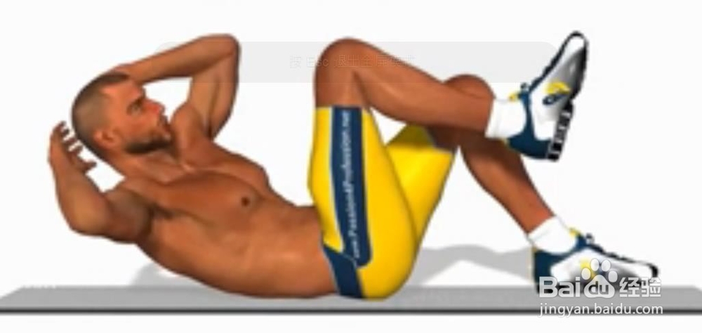 几种常见的锻炼腹ji