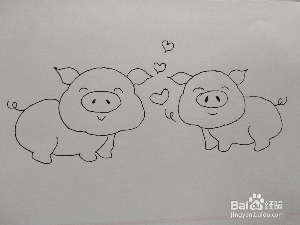 猪年爱心猪简笔画方法