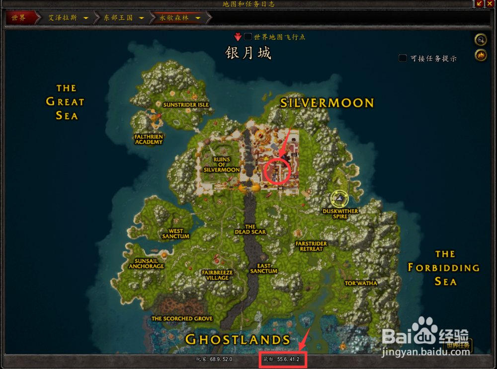 魔兽世界:探索永歌森林