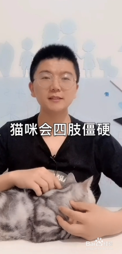 猫咪缺钙会怎样？