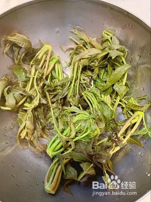 春天的香椿的做法