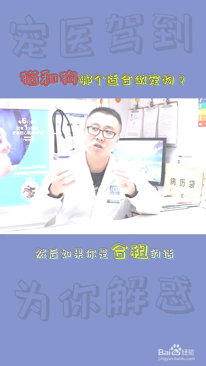 如何判定猫和狗到底哪个适合的宠物?