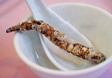 敖珍虫草的食用方法