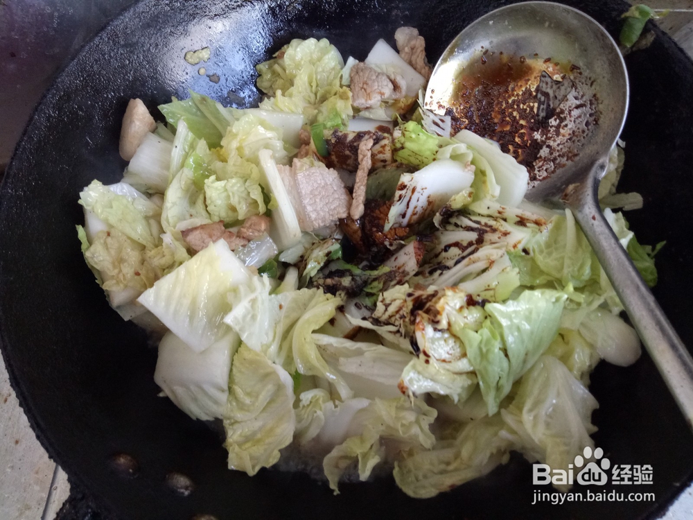 家常版猪肉白菜炖粉条