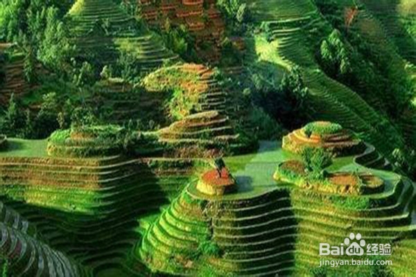 怎样做一个合格的旅游者