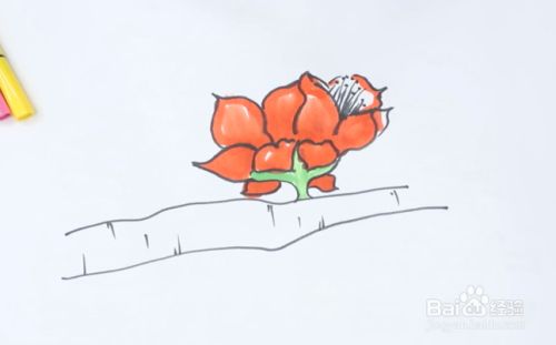 木棉花怎么画简单又漂亮