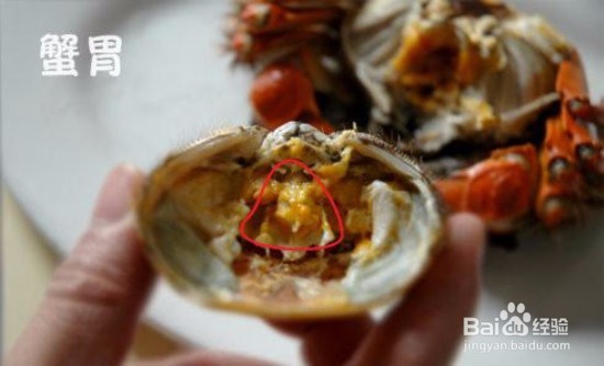 螃蟹应该怎么吃？