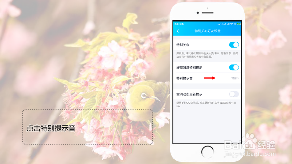 qq怎么设置特别关心个性提示音