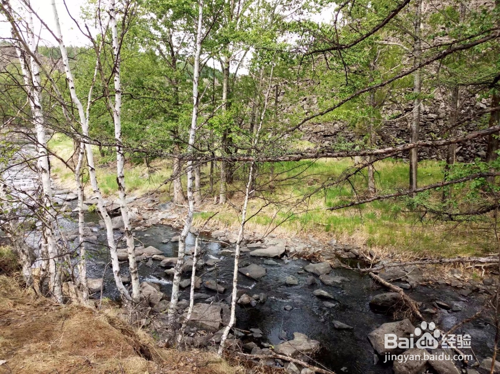 内蒙古阿尔山情侣自由行