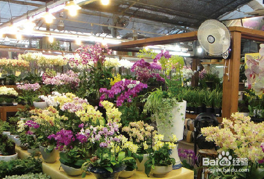 如何让鲜花店生意好？