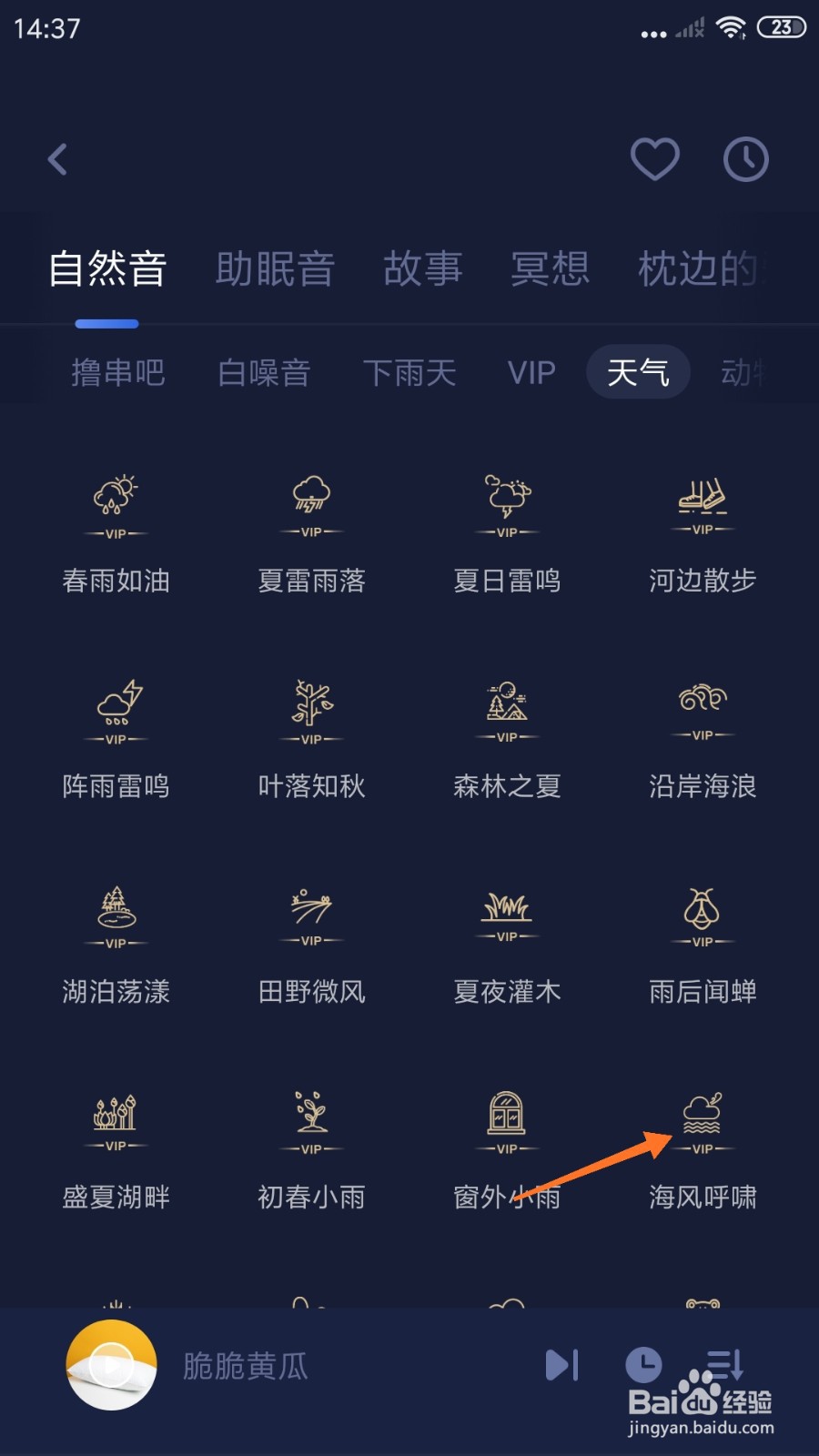 蜗牛睡眠中怎么播放海风呼啸