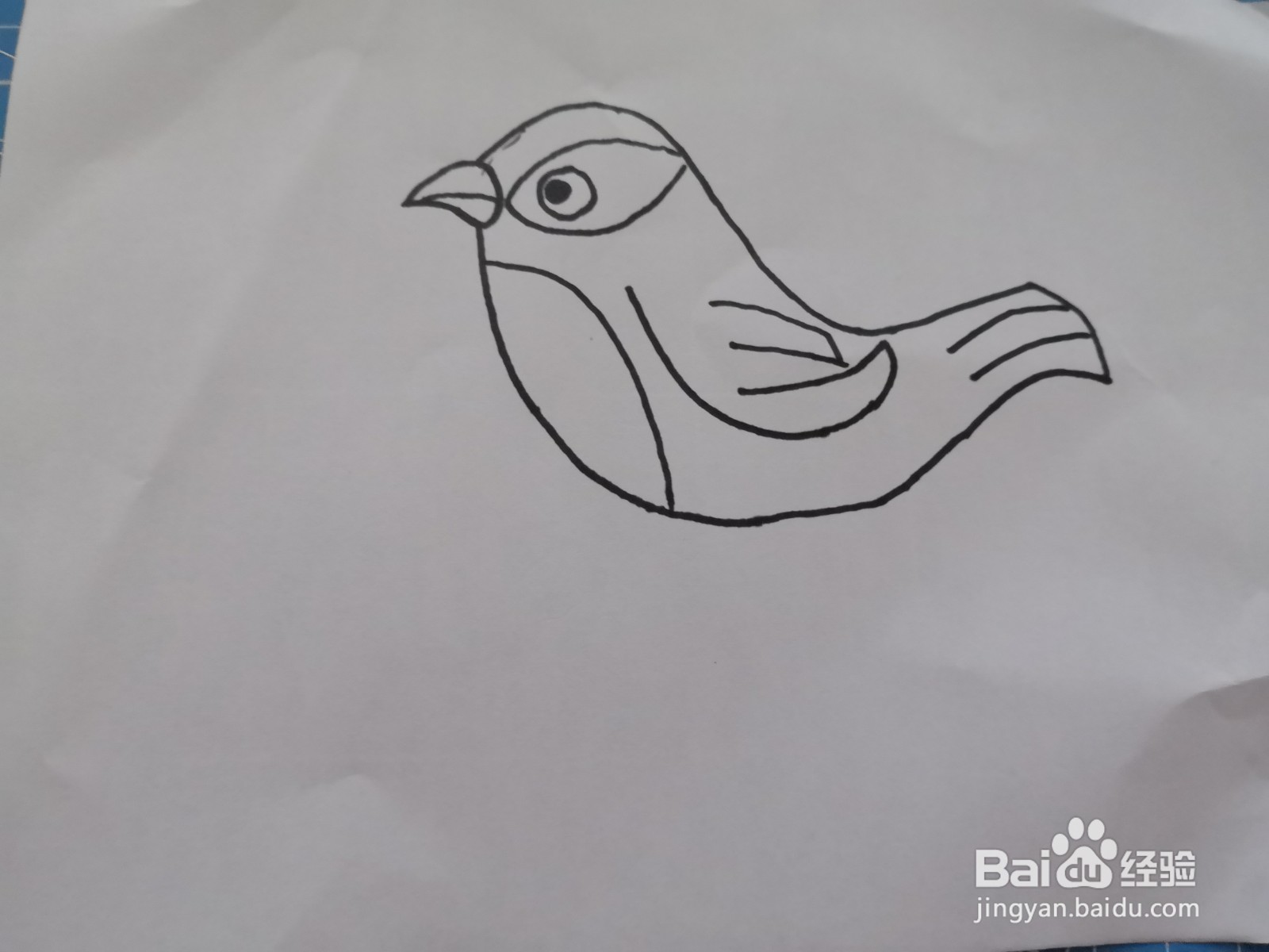 可爱的黄鹂鸟画法