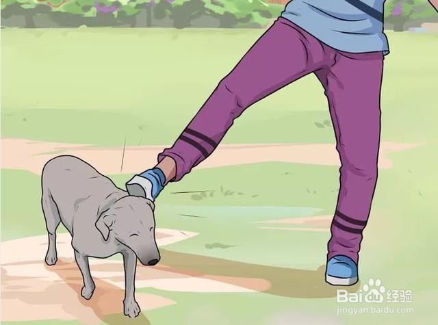 如何防止被疯狗追,以及应对措施