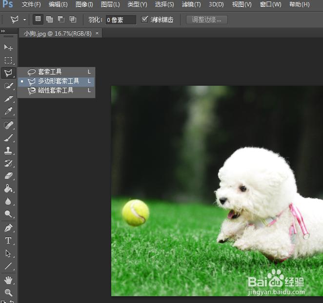 ps多边形套索工具怎么用