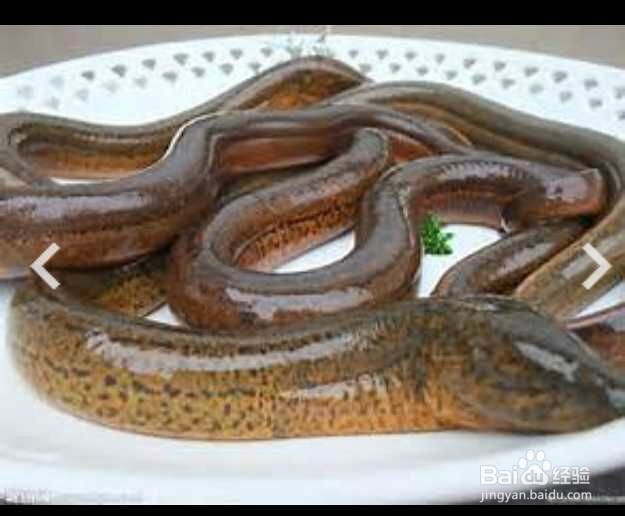 经常流鼻血怎么解决