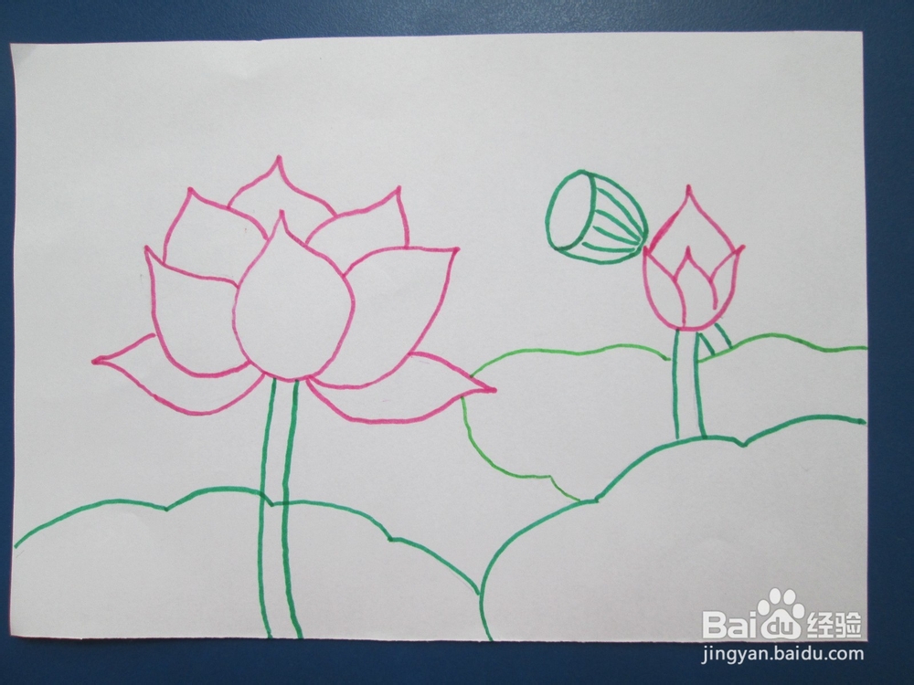 我们来学油画棒：[6]荷花