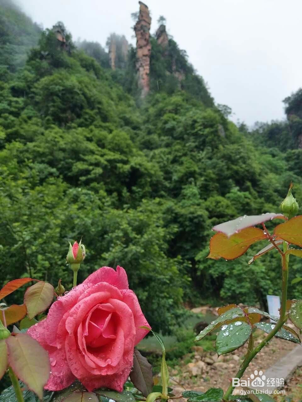 槟榔谷与驻马溪一日游