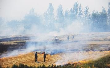 大气污染分别有哪些？