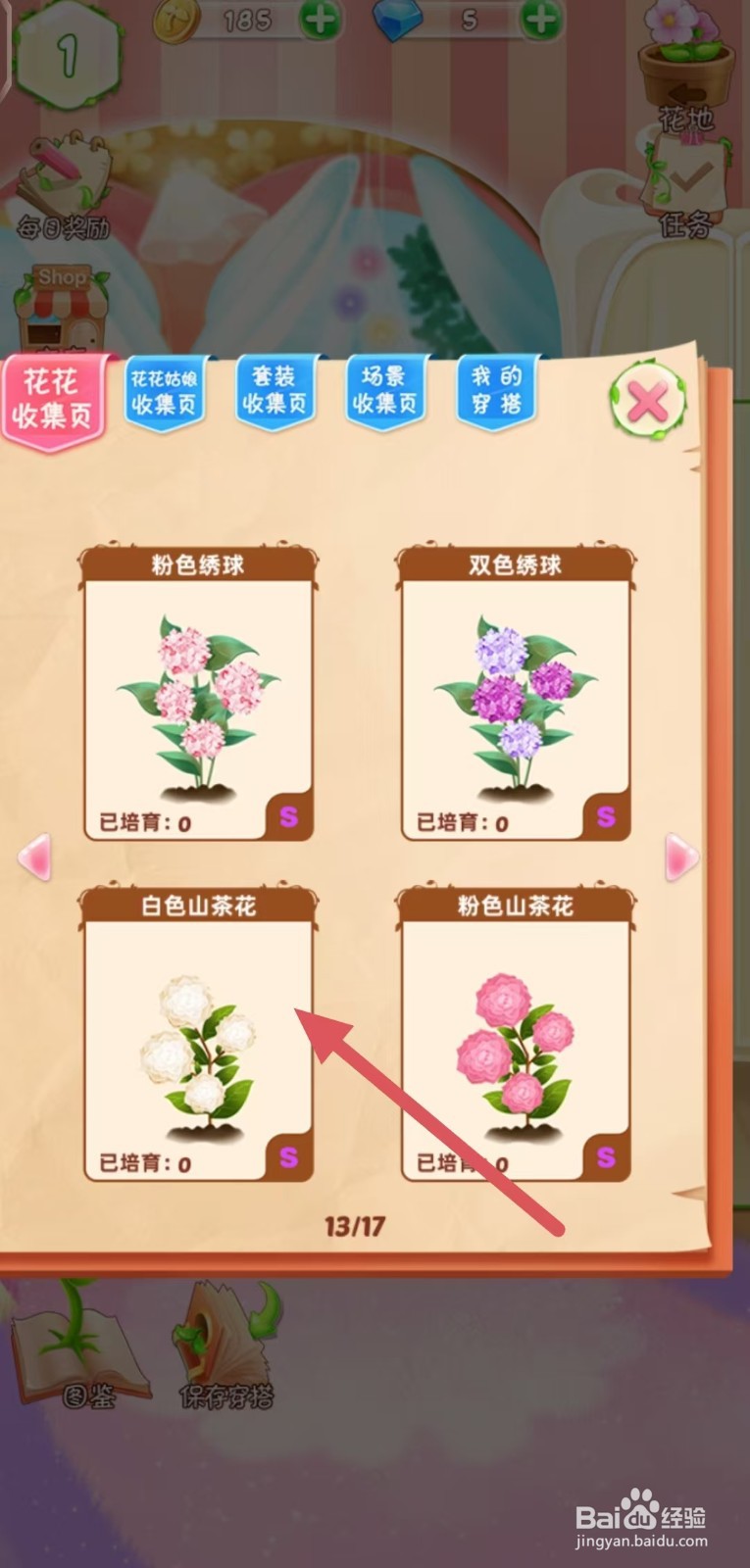 花花姑娘怎么查看白色山茶花的生长速度