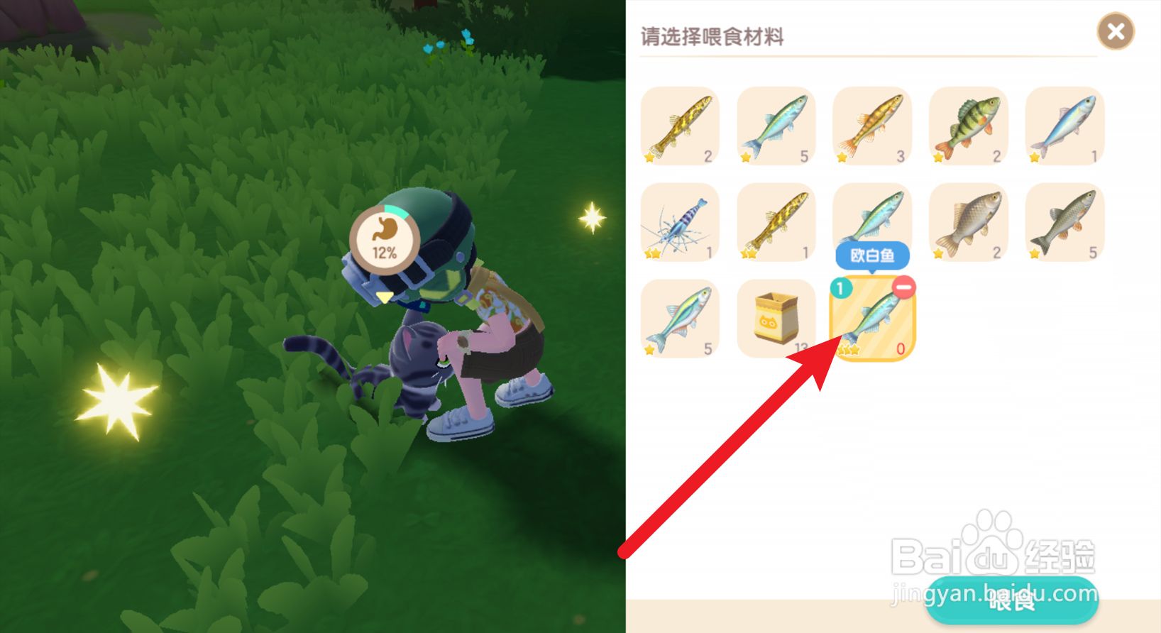 心动小镇怎么喂猫