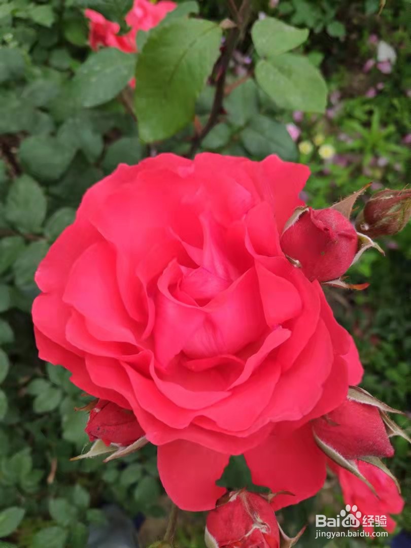 如何获得女生的好感