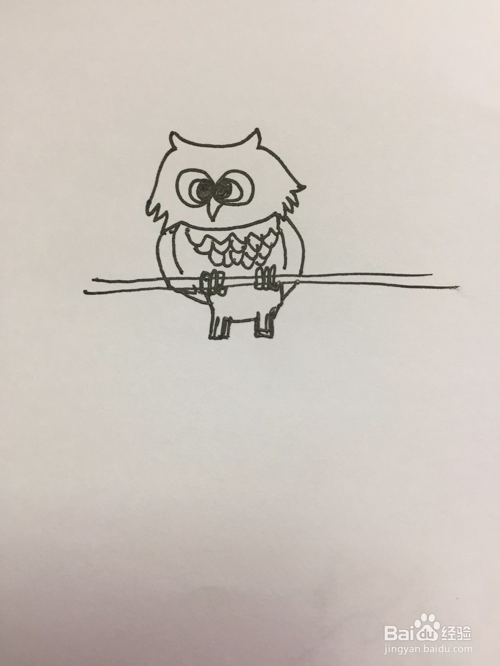 猫头鹰的简单画法
