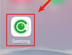 seetong怎样开启全屏预览模式