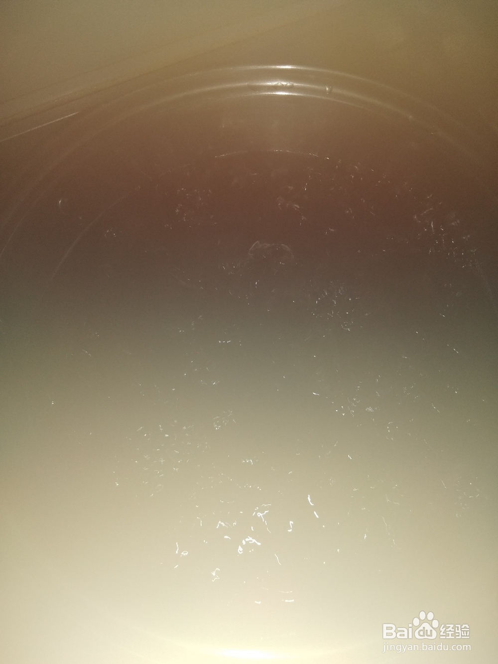 凉拌木耳的做法