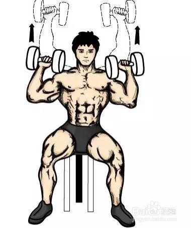 只需一对哑铃,在家锻炼全身肌肉!