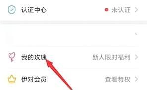 伊对怎么查看消费记录