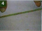 某日下午⊙纸杂质⊙志架 diy