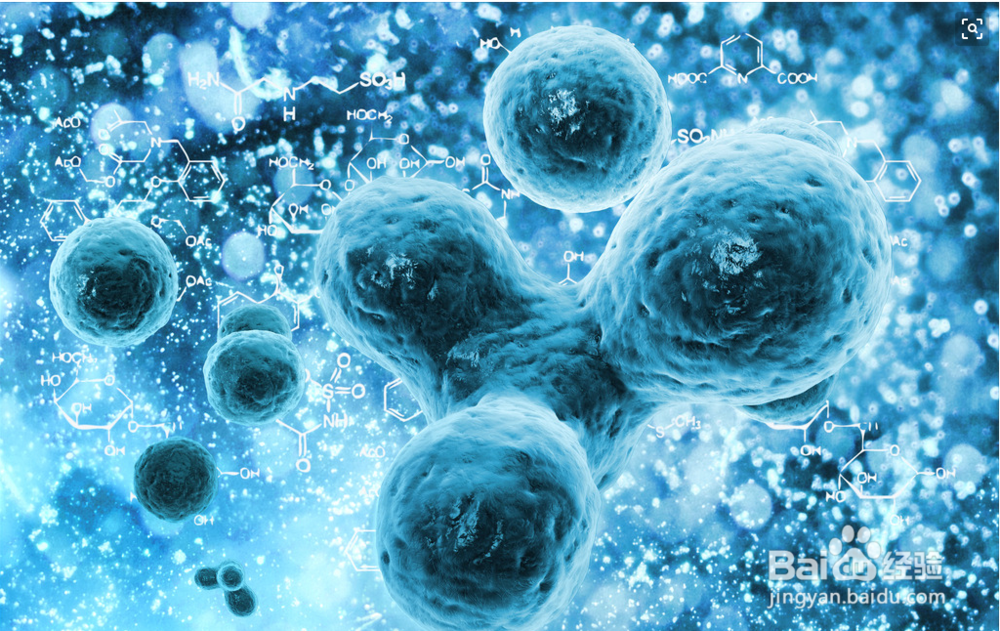 女性假性尖锐湿尤图