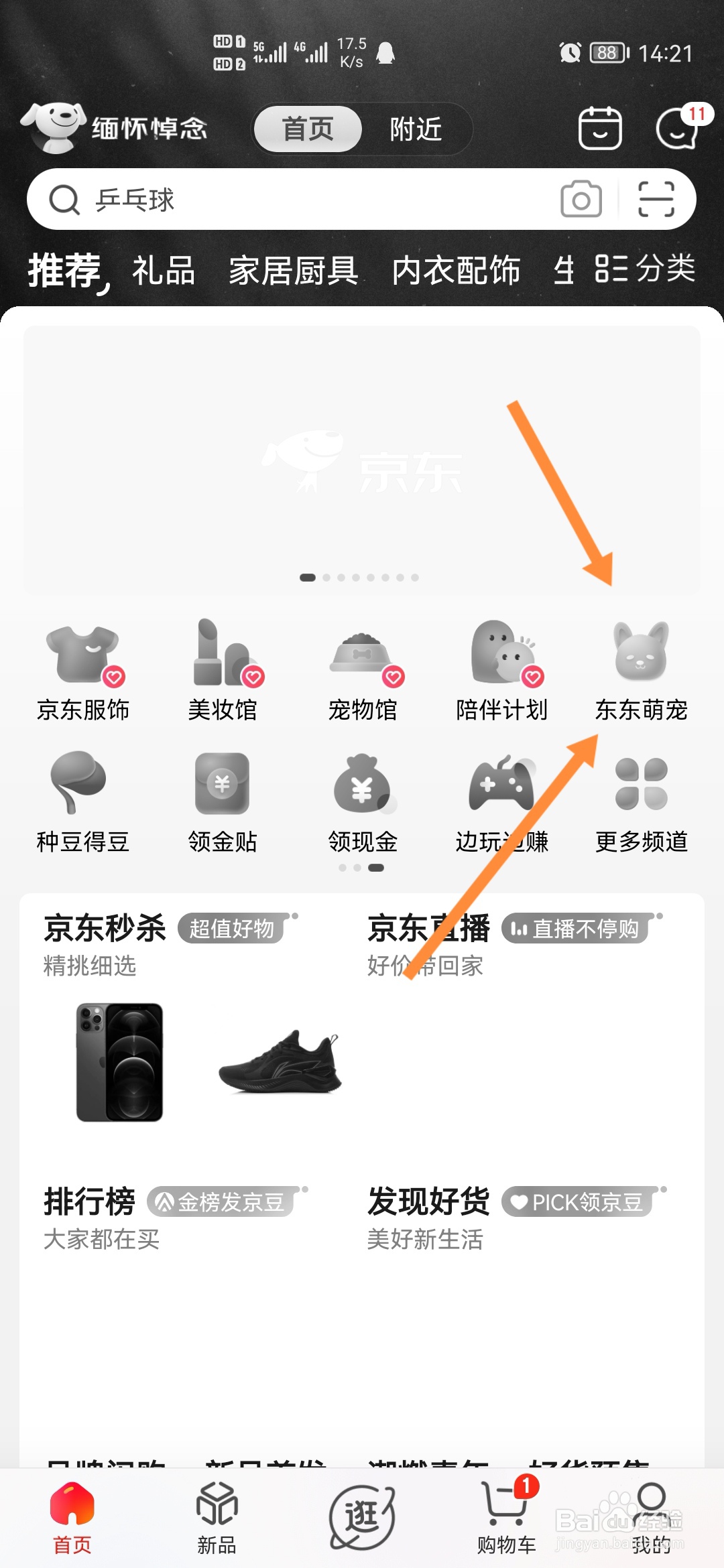 怎么判断狗狗饿不饿