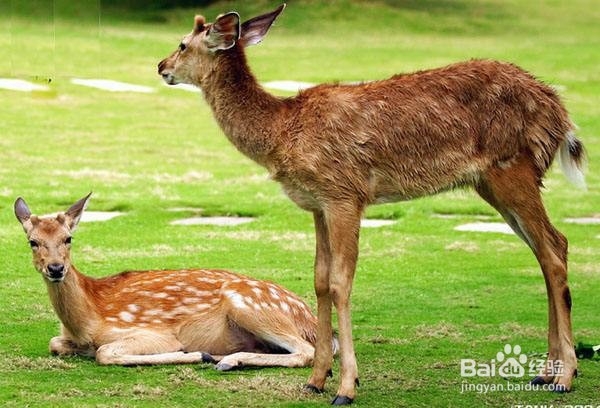 长沙到三亚旅游攻略