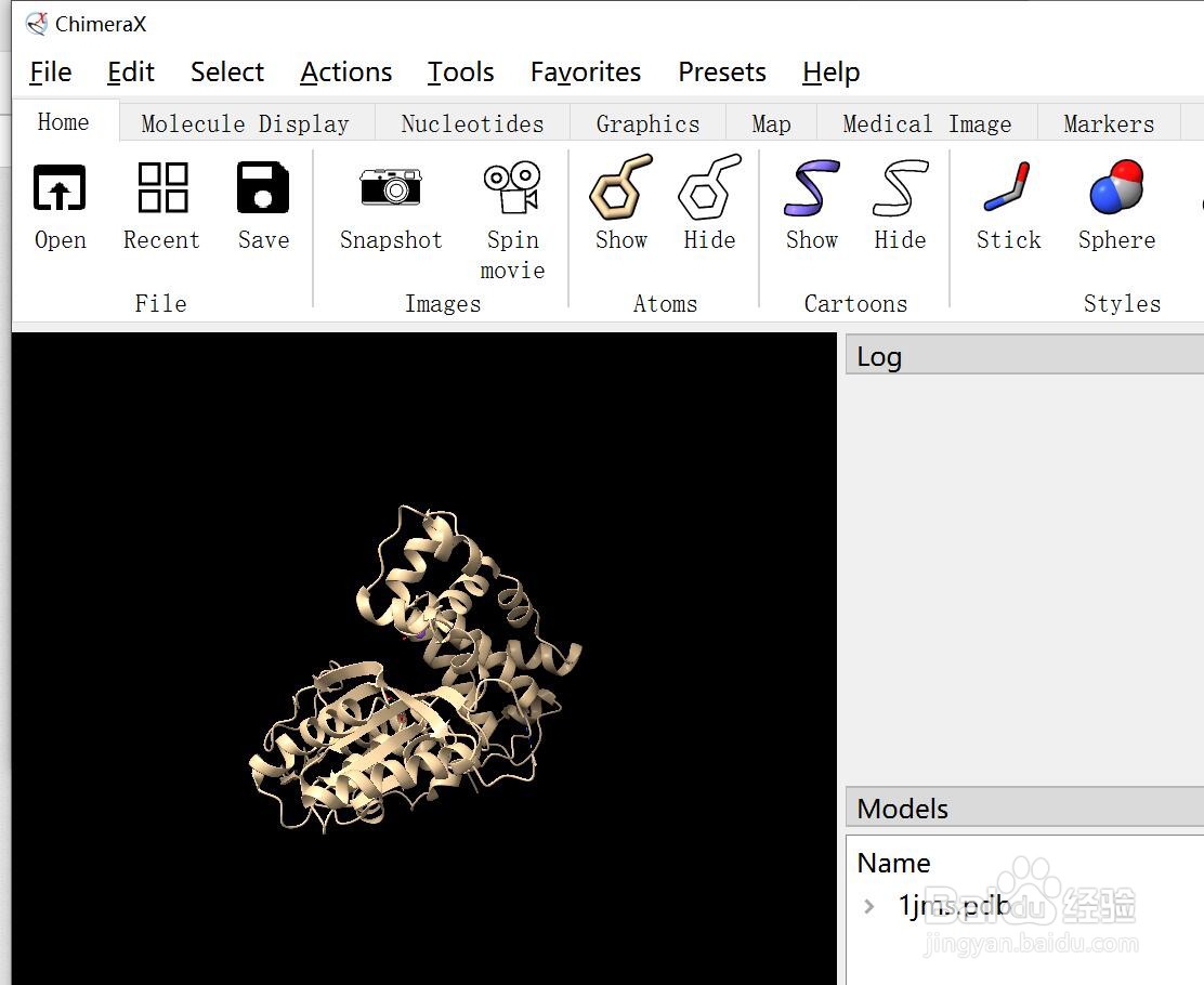 如何查看立体蛋白结构图？