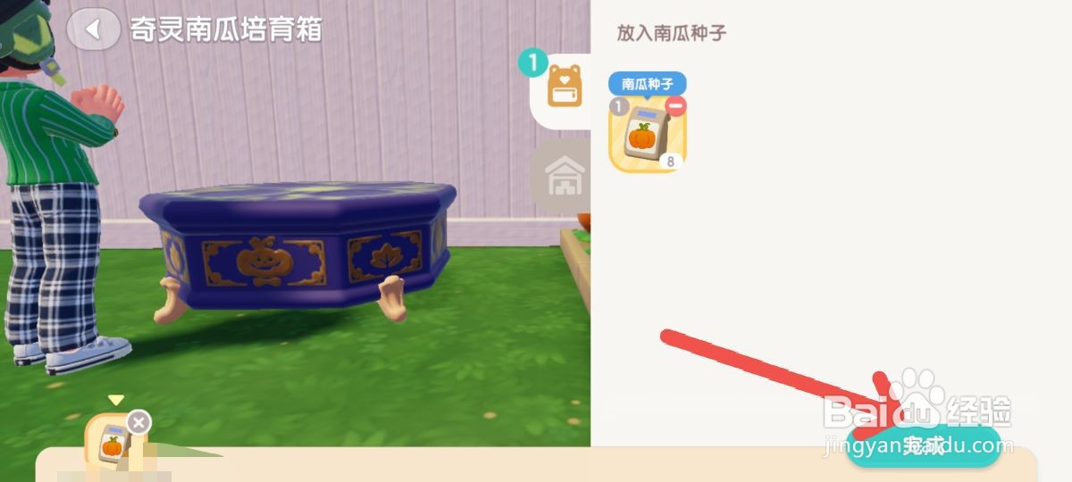 心动小镇怎么成功培育奇灵南瓜