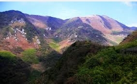 怎样确定你坠入了爱河