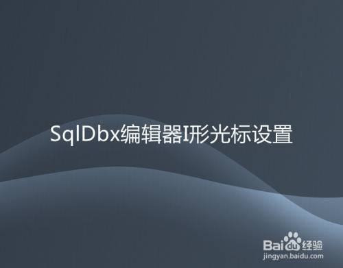 SqlDbx编辑器I形光标设置