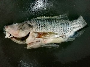 如何做红烧福寿鱼