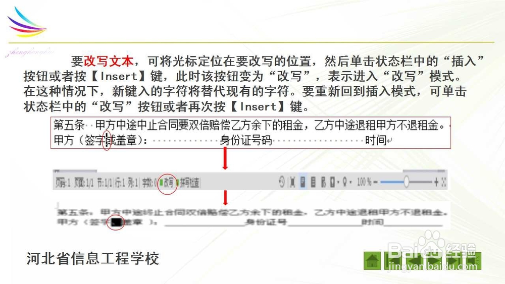 WPS文本的输入与编辑