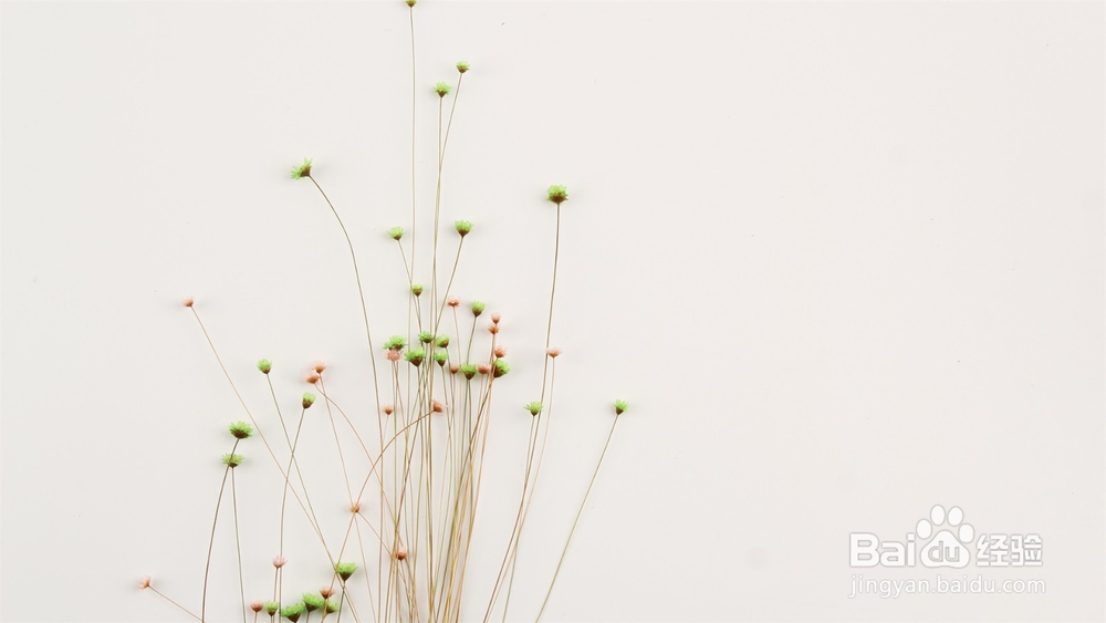 如何将office中PPT正文的字体批量替换