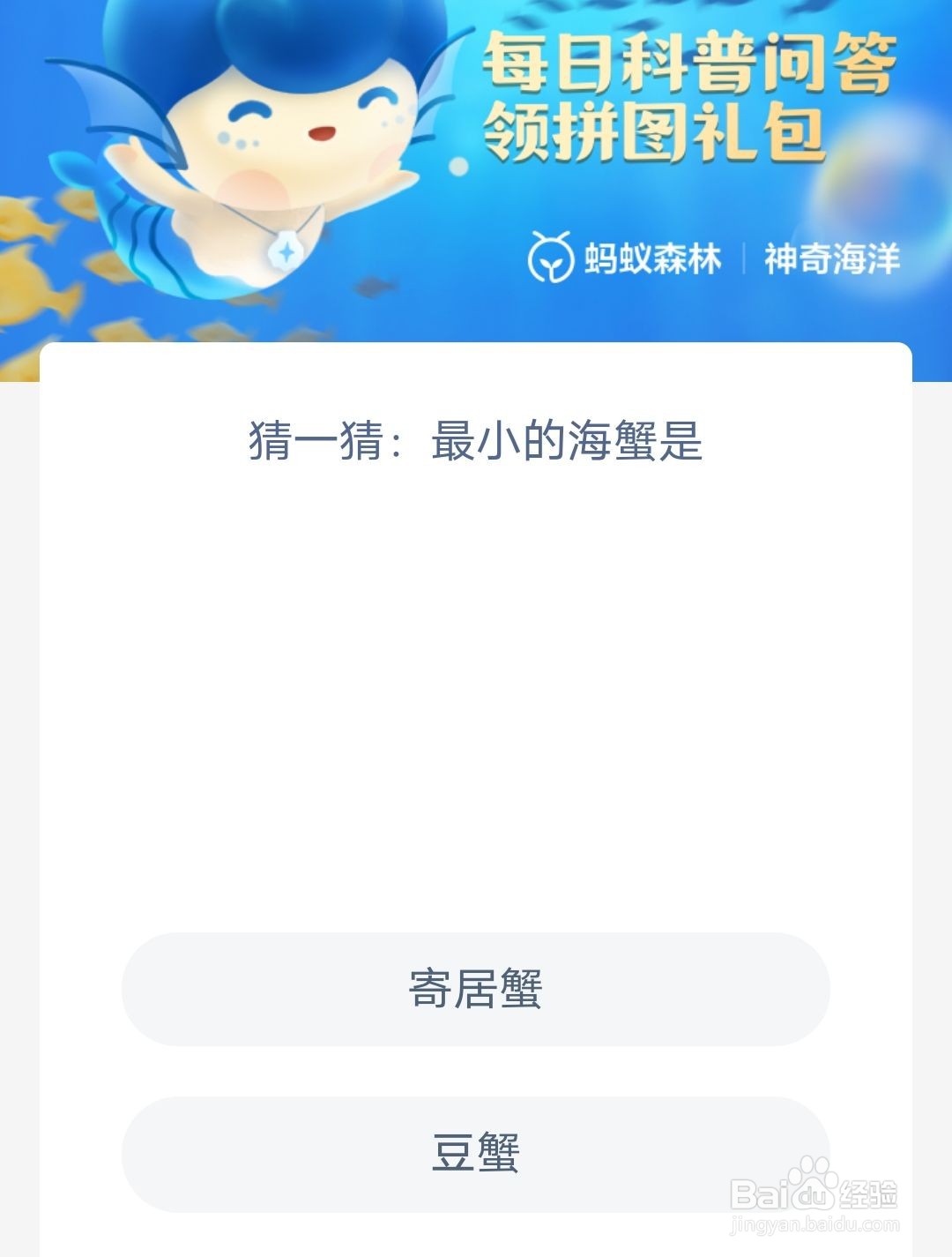 猜一猜最小的海蟹是神奇海洋